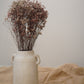 Aged Vase (Maksil)