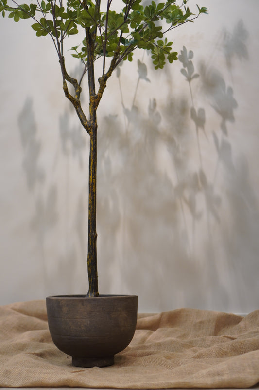 Aged Vase (Esperanza)