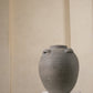 Aged Vase (igib)