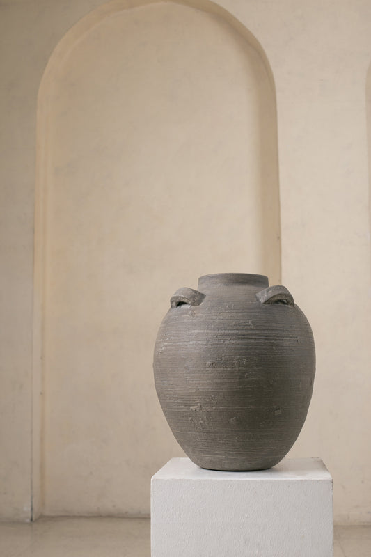 Aged Vase (igib)